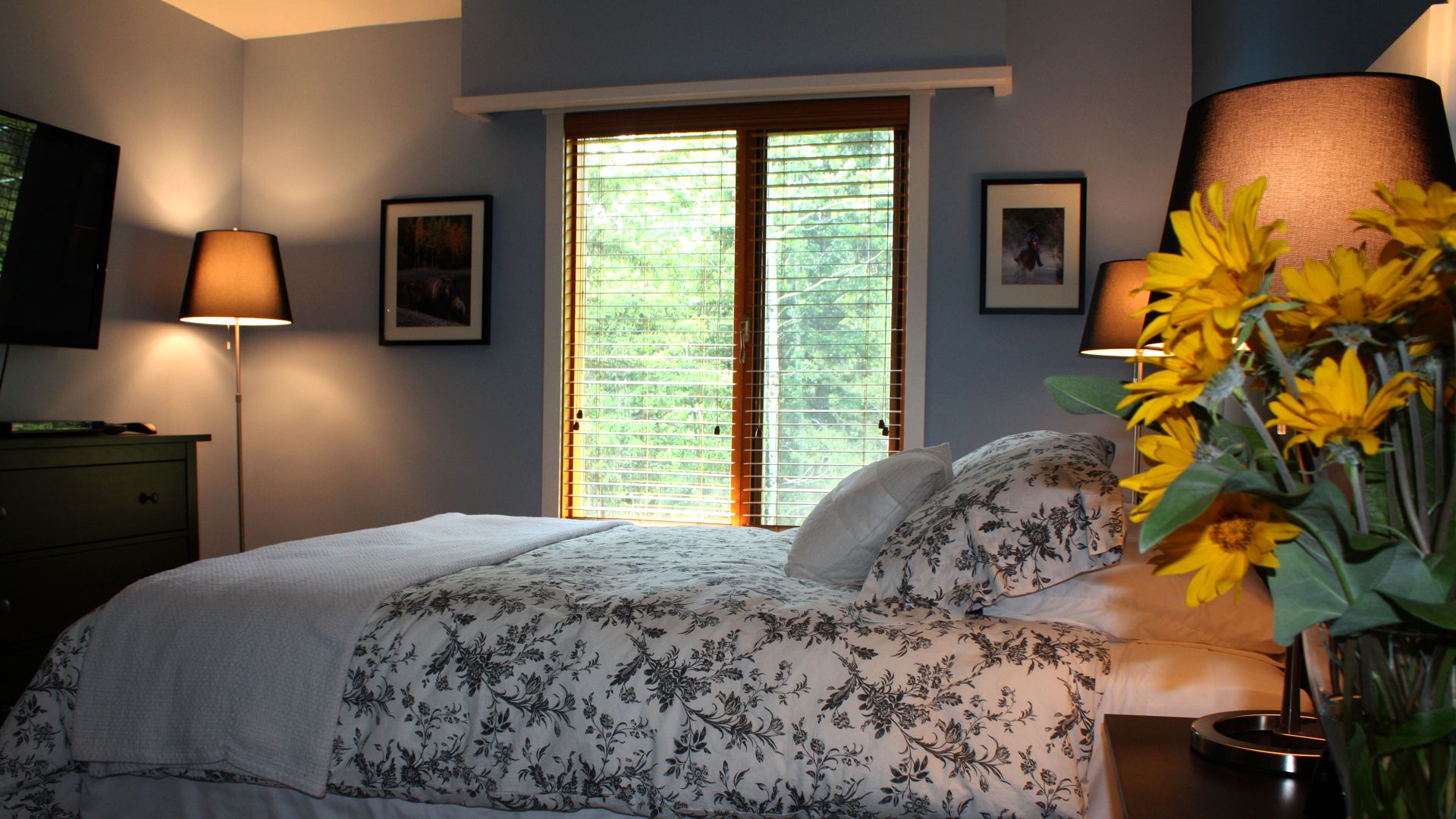 Molly's Rest — guest room with a bed beside a bright window onto the grounds