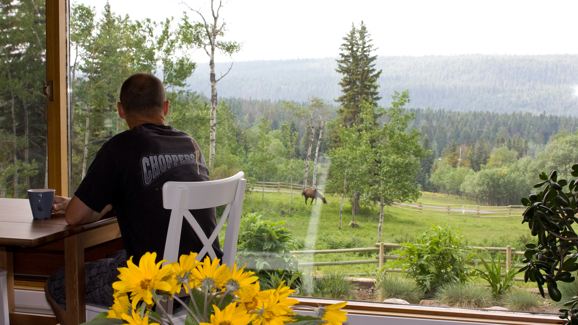 Looking over the Juniper Trails grounds from the parlor on a beautiful morning